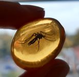 5728804 Jurassic Parts