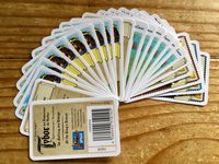 4508017 Tybor der Baumeister: Im Auftrag des Königs