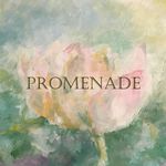 4334801 Promenade