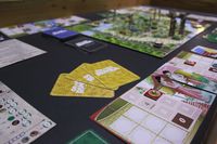 4306606 Orang Rimba: The Forest Keeper