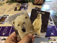 5049246 Inuit: The Snow Folk