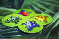 6128472 Flip over Frog