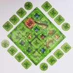 6309831 Flip over Frog