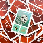 5122354 Wannabe Football