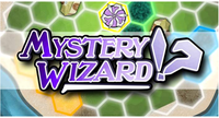 4318915 Mystery Wizard