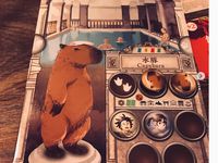 4382989 The Tales of Ki-pataw