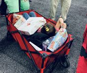 4912045 Dust in the Wings