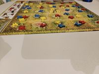 7483536 Dust in the Wings