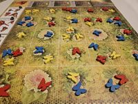 7483537 Dust in the Wings