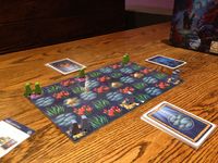 5070194 Gnomes at Midnight