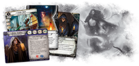 4352811 Arkham Horror: The Card Game – The Circle Undone: Expansion