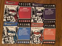 5226789 Teenage Mutant Ninja Turtles: Change Is Constant