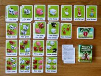 6260394 Alana's Animals