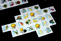 5002132 Kohaku (Second Edition)