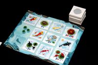 5002133 Kohaku (Second Edition)