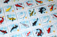 5002135 Kohaku (Second Edition)