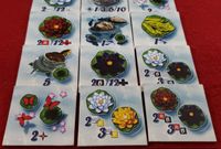 5043394 Kohaku (Second Edition)