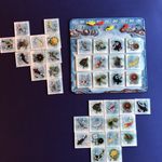 5863065 Kohaku (Second Edition)