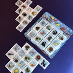 5863067 Kohaku (Second Edition)