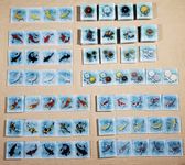 5864993 Kohaku (Second Edition)