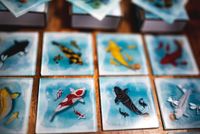 5952871 Kohaku (Second Edition)