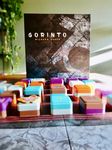 6145113 Gorinto