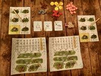 5004753 Imperial Settlers: Roll &amp; Write