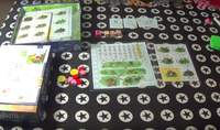 5247831 Imperial Settlers: Roll &amp; Write