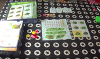 5247831 Imperial Settlers: Roll &amp; Write (Edizione Tedesca)