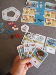 4917192 Imperial Settlers: Empires of the North