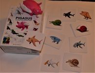 5970145 Pigasus