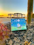 6580830 CABO (second edition)