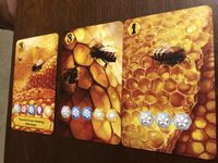 5691288 Bees: Il Reame Segreto