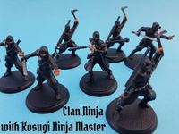 5449408 Shadows of Brimstone: Shadow Clan Ninja Deluxe Enemy Pack