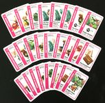 4955260 Jumanji Fluxx