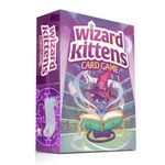 4609137 Wizard Kittens