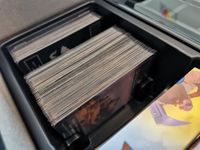 6826573 Northgard: Uncharted Lands