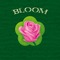 367254 Bloom