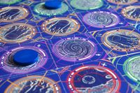 4756337 Sensor Ghosts