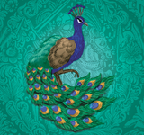 5232539 King of Indecision