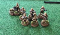 5500342 Star Wars: Legion – Imperial Shoretroopers Unit Expansion