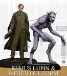 5650177 Harry Potter Miniatures Adventure Game: Remus Lupin & Werewolf Form (EDIZIONE ITALIANA)