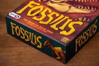 5919151 Fossilis
