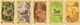 1036351 Catan 5-6: Edizione eco 2022