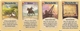 1036352 Catan 5-6: Edizione eco 2022