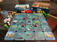 4809467 Island Project