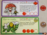 4791225 Evolution: Herbs and Mushrooms