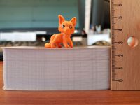 4959485 History Talk