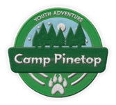 4942671 Camp Pinetop