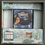 5649940 Thrive: Pond Life